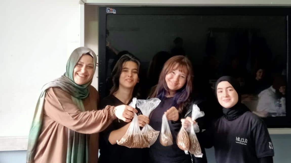 4 Ekim Dünya Hayvanlarını Koruma Günü... 